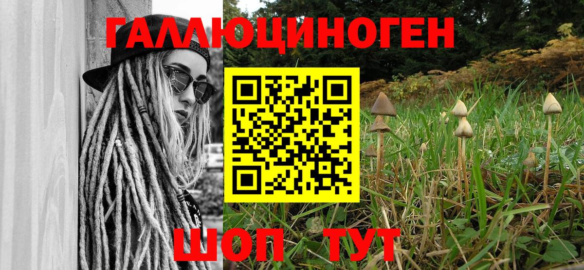 Псилоцибиновые грибы мухоморы  Вход с VPN  Кемерово 