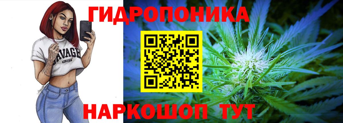 Марихуана семена  Шишки марихуана сатива  Вход с VPN  МАРИХУАНА тримм  Марихуана VHQ  Кемерово 